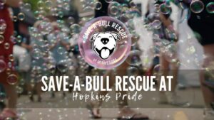 Save-A-Bull at Hopkins Pride