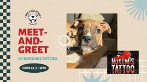 Save-A-Bull Meet-and-Greet at Nokomis Tattoo