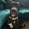 Winston