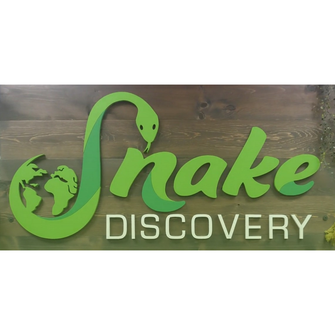 Snake discovery