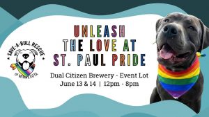 Unleash the Love at St. Paul Pride!