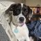Shirley